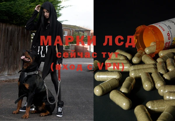 крисы Володарск