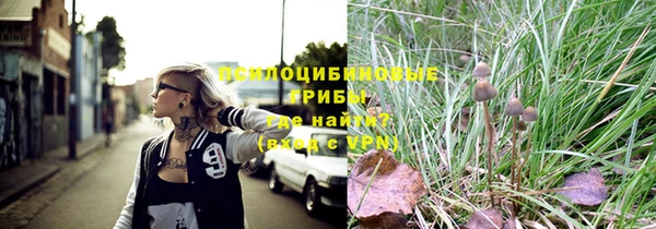 apvp Волоколамск