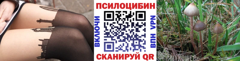 Галлюциногенные грибы мухоморы наркотики Мурманск
